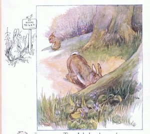 Aika, jolloin minulla oli koti